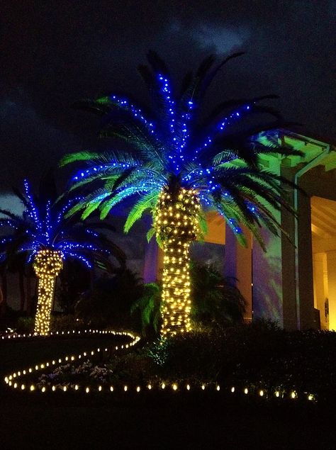 Janmashtami 2023, Palm Tree Christmas Lights, Commercial Christmas Lights, Professional Christmas Lights, Christmas Palm Tree, Christmas Lights Outside, Hawaii Christmas, Christmas Light Show, Christmas Light Installation