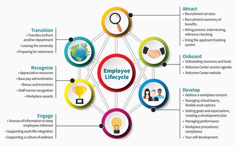 Employee Life Cycle | Cardinal at Work Employee Life Cycle Human Resources, Employee Retention Strategies, Leadership Development Quotes, Emotional Intelligence Leadership, Human Resources Jobs, Coaching Resources, Work Poster, Evaluation Employee, Improve Employee Engagement