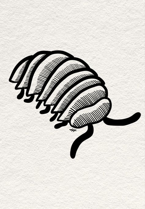 Pill bug tattoo stencil Isopods Art, Simple Cicada Drawing, Pill Bug Art, Bug Lino Print, Pillbug Drawing, Bug Drawings Simple, Roly Poly Drawing, Small Bug Tattoo Ideas, Pill Bug Drawing