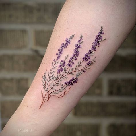 236 Likes, 4 Comments - Madnes Tattoos (@madnestattoos) on Instagram: “@ajshanus thanks so much!!! Purple #scottishheather for Allison... This was such a fun tattoo. More…” Heather Flower Tattoo, Heather Tattoo, Scotland Tattoo, Earthy Tattoos, Flower Spine Tattoos, Heather Flower, Fun Tattoo, Lavender Tattoo, Sister Tattoo