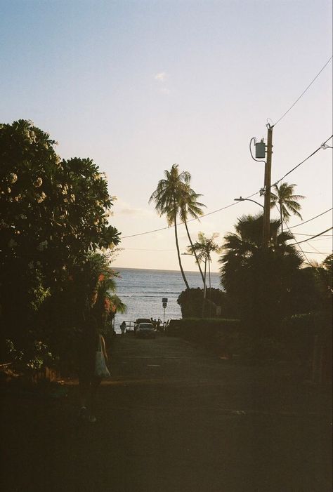 Surfer Beach Aesthetic, Beach On Film Aesthetic, Grainy Beach Aesthetic, Hawaii Aethstetic, Surf Film Photography, Film Beach Aesthetic, Beach Film Photography 35mm, Hawaii Film Photography, Hawaii On Film