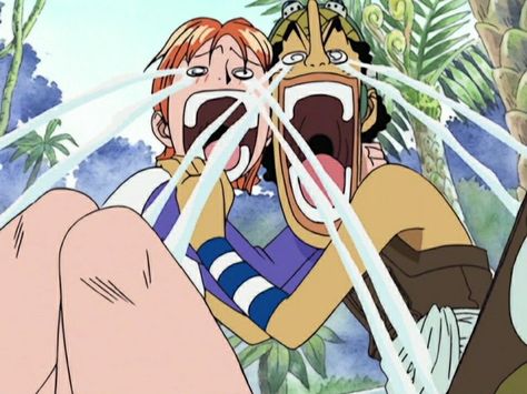 Nami Usopp, One Piece Meme, Anime Friendship, Nami One Piece, One Piece Funny, One Piece Images, One Piece Pictures, Best Duos, One Piece Fanart