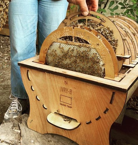 Honey Extractor, Beehive Design, Concrete Interiors, Wooden Barrel, Red Dot Design, Parquet Flooring, Living Environment, London Design, Design Museum