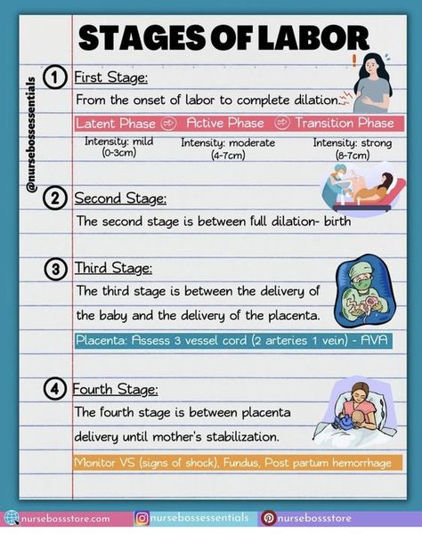 Stages of Labor #medicalschool #resources #medicalstudent - Image Credits: Nurse Kim Obgyn Notes Nursing Schools, Gynaecology Notes, Stages Of Labor Nursing, Gynecology Notes, Ob Nursing Student Cheat Sheets, Gynecologist Aesthetic, Nursing School Studying Cheat Sheets, Emt Study, Nursing School Inspiration