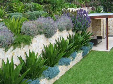 Eco Outdoor, Garden Retaining Wall, Walled Garden, Luxury Garden, Wall Garden, Backyard Garden Design, Agaves, Plants And Flowers, Decor Minimalist