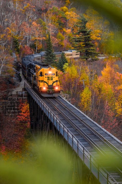 The ULTIMATE New England Fall Foliage Travel Guide | gracefkim North Conway New Hampshire, Conway New Hampshire, Winter Family Vacations, North Conway, New England Road Trip, Fall Road Trip, Scenic Railroads, New England Fall, Instagram Travel