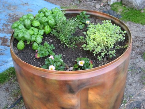 Upcycle Dryer Drum, Old Dryer Drum Ideas, Dryer Drum Planter, Dryer Drum Repurpose, Diy Washing Machine, Washer Drum, Recycle Old Clothes, Upcycled Garden, Washing Machine Drum