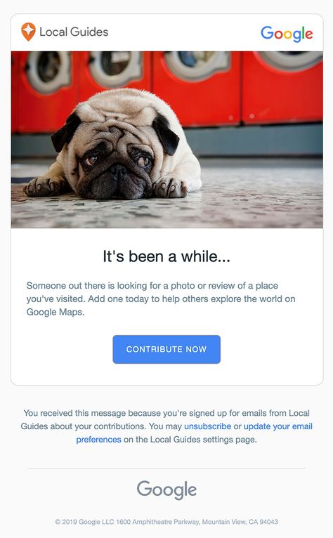 Engagement Emails, Google Desktop, Map Reading, Email Newsletter Design, Email Automation, Email Subject Lines, Email Marketing Design, Email Marketing Campaign, We Missed You