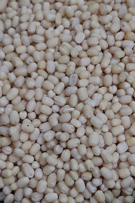 Check out the culinary uses of a whole skinless black gram (urad dal) in Indian cooking. Urad Dal Recipes, Paniyaram Recipes, Dal Recipes, Black Gram, Indian Grocery Store, Idli Recipe, Jeera Rice, Urad Dal, Dal Recipe