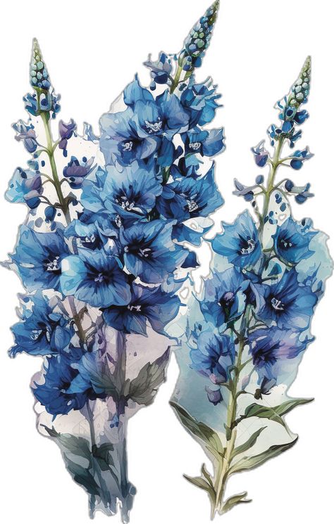 How To Draw Delphinium, Blue And Green Artwork, Delphinium Flower Drawing, Delphinium Flower Tattoo, Delphinium Painting, Blue Delphinium Flower, Petals Painting, Purple Flower Watercolor, Blue Flower Watercolor