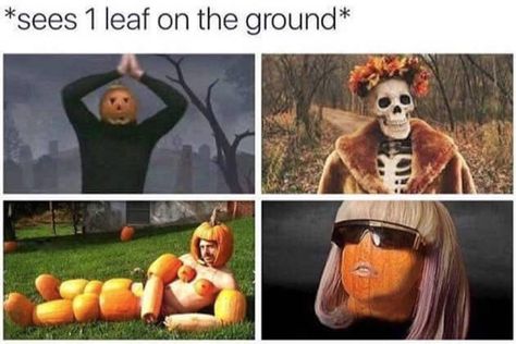 19 Hilarious Memes That Anyone Who's Ready For Fall Will Relate To October Memes, Funny Halloween Memes, Hate Summer, Spooky Memes, Fall Humor, Fall Memes, Halloween Memes, Summer Funny, Funny Pumpkins