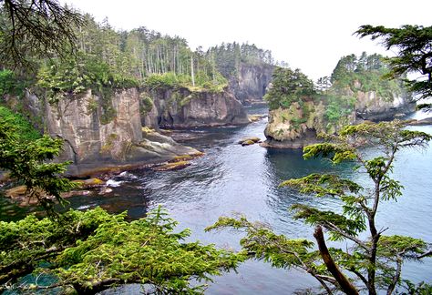 Neah Bay - WA Neah Bay, Pnw Travel, Hot Pools, Washington Travel, Spring Resort, Olympic National Park, Rain Forest, Usa Travel, Washington State