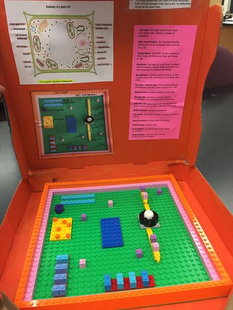 Lego Plant Cell. All parts of the cell are made out of legos and put into a pizza box Shoe Box Plant Cell Model, Making A Cell Science Projects, Animal Cell Lego Model, Animal Cell Project 3-d, Cell City Project, Parts Of A Cell Activity, Parts Of The Cell, Animal Cell Model, Plant Cell Project