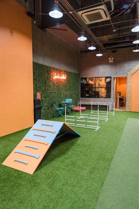 This indoor dog park is the perfect date for you and your dog - NOLISOLI Dog Run Aesthetic, Indoor Dog Training Room, Agility Equipment For Dogs, Indoor Dog Park Play Areas, Dog Training Facility Decor, Dog Daycare Event Ideas, Dog Gym Ideas, Indoor Dog Park Design, Dog Play Area Indoor Ideas