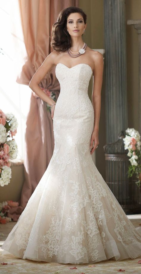 David Tutera for Mon Cheri Fall 2014 Bridal Collection - Belle The Magazine David Tutera Wedding Dresses, Wedding Dresses Trumpet, Trumpet Wedding Dress Lace, Lace Sweetheart Wedding Dress, Satin Mermaid Wedding Dress, Ivory Lace Wedding Dress, Mermaid Sweetheart, David Tutera, Gaun Fashion