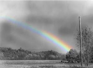 black and white with a splash of color | Black and white with a splash of color Peaceful Mind Peaceful Life, Rainbow Pictures, Color Splash Photography, Splash Photography, God's Promise, No Rain, White Rainbow, Black N White Images, Black White Photos