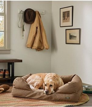 Outdoor Accessories | Outdoor Equipment at L.L.Bean Dog Bed Couch, Denim Dog Bed, Couch Beds, Dog Couch Bed, Couch Styling, Dog Couch, Denim Dog, Dog Sofa, Bed Couch