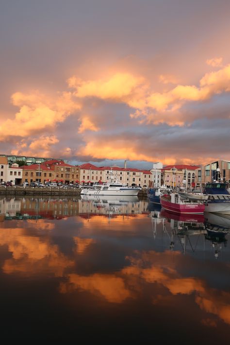 Tasmania Aesthetic, Tasmania Photography, Hobart Tasmania Aesthetic, Tasmania Australia, Coles Bay Tasmania, Hobart City, Hobart Australia, Hobart Tasmania, Aurora Australis Tasmania