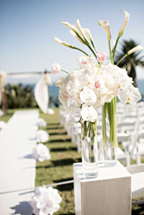 Pink Flowers Photography, Orchids White, White Pink Flowers, Hydrangea Not Blooming, Cymbidium Orchids, Wedding Inside, Wedding Groomsmen, Ceremony Inspiration, Ceremony Arch