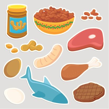 Protein Clipart Free Download | 68 Protein free illustrations Protein Foods Drawing, Protein Pictures, Protein Drawing, Protein Illustration, Cafe Mural, Food Clipart, My Plate, Best Drawings, Clipart Free