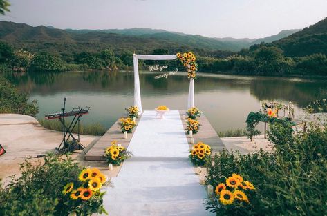 Sunflower Proposal, Romantic Proposal, Sunflower Wedding, Marriage Proposals, Happily Ever After, Ever After, Hong Kong, Sunflower, Water