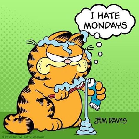 #Monday #mondays #morning #ihatemonday #ihatemondays #cat #cats #toothpaste #dentist #pet #pets #cute #cuddly #humor #humour #funny #animals #attitude #loveanimals #lovecats #lovecatsforever  #comics #comicstrip Garfield Monday, Garfield Quotes, Monday Cat, Garfield Pictures, Monday Humor Quotes, Garfield Cartoon, I Hate Mondays, Garfield Cat, Garfield Comics