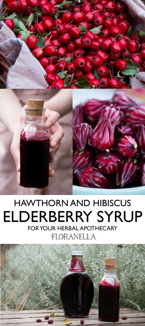 Elderberry Hibiscus Syrup Recipe, Hawthorn Berry Tea, Hawthorn Berry Recipes, Hawthorn Recipes, Spooky Apothecary, Homemade Syrups, Tonic Syrup, Elderberry Syrup Recipe, Elderberry Recipes