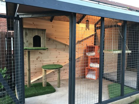 Outdoor Cat Pen, Cat Outdoor Cage, Plants For A Catio, Gazebo Cat Enclosure, Pergola With Catio, Luxury Catio Cats, Modern Cat House, Diy Outdoor Cat House, Dark Home Aesthetic