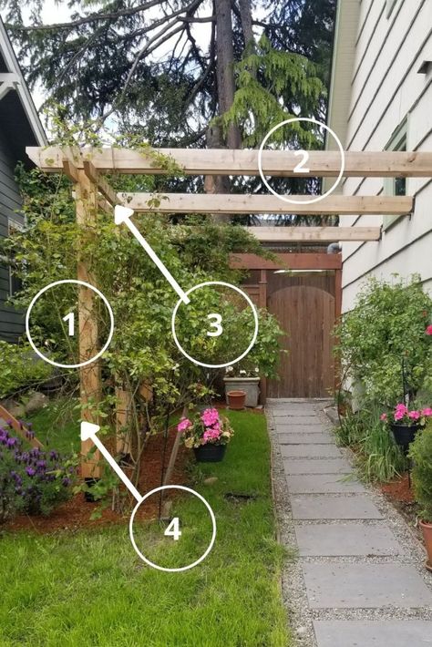 Arbor Pathway, Side Yard Walkway, Gated Arbor, Outdoor Trellis Ideas, Yard Trellis, Rustic Trellis, Garden Trellis Ideas, Diy Arbour, Yard Walkway