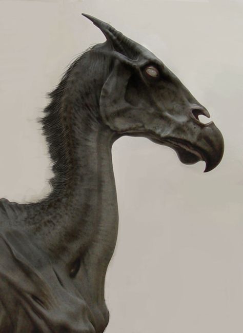 Thestral Tattoo, Luna Lovegood Aesthetic, Harry Potter Creatures, Harry Potter Wiki, Art Harry Potter, Harry Potter Wall, Winged Horse, Images Harry Potter, Hogwarts Aesthetic