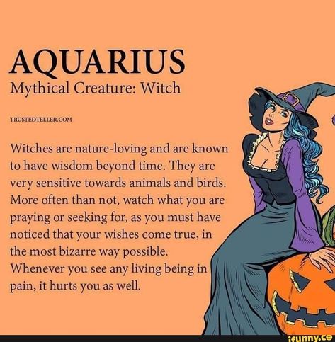 February Aquarius, My Moon Sign, Social Causes, Ascendant Sign, Sagittarius Moon, Aquarius Life, Aquarius Truths, Aquarius Love, Astrology Aquarius