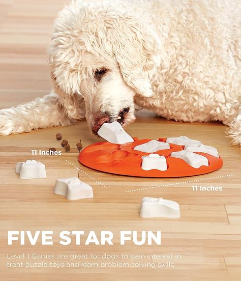 This is a beginner interactive dog puzzle toy that will prepare your pup for more challenging games with simple one-step actions. The toy features 9 hidden compartments that are covered by 9 removable dog bone pieces. Smart Dog Toys, Stuff To Make, Dog Toy Box, Dog Puzzle Toys, Hound Puppies, Dog Enrichment, Dog Games, Dog Puzzles, Dog Bones