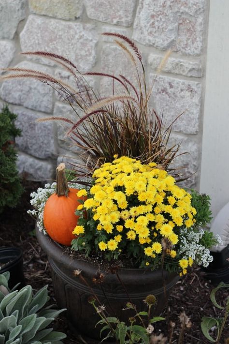 My fall planters were so easy to do this year! I kept the purple fountain grass that I planted in the spring and used that as a basis for my fall planters. I used cheap pumpkins, mums and dried hydrangeas from my garden to make fall container gardens I love! Fall Potted Plants, Fall Urn, Shade Plants Container, Porch Planter Ideas, Fall Flower Pots, Fall Container Plants, Front Porch Flower Pots, Fall Pots, Fall Window Boxes