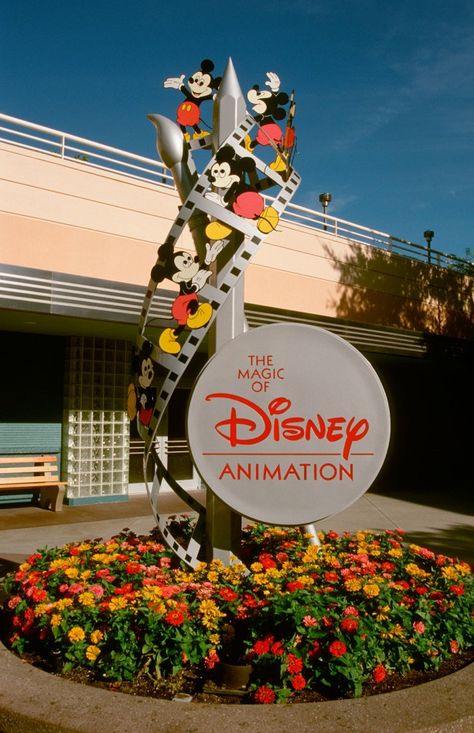 Disney Attractions, Disney Memories, Walt Disney Animation Studios, Walt Disney Animation, Hollywood Studios Disney, Disney Addict, Disney Castle, Disney Studios, Disney Theme Parks