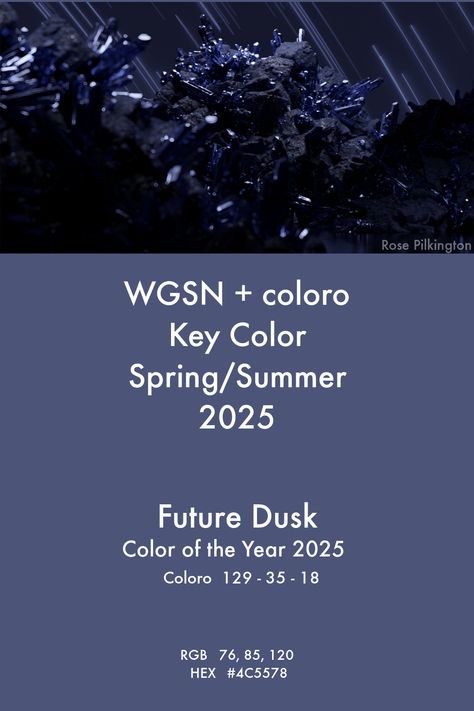 Key Color S/S 2025 Future Dusk and Color of the Year 2025 - WGSN+coloro Future Dusk Color 2025 Fashion, Pantone Colors 2024/2025, Color Of 2025, Pantone 2025 Color Of The Year, Future Dusk Color, Wgsn Ss25, Future Dusk Color 2025, 2025 Color Trends Fashion, 2025 Pantone Color Of The Year