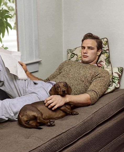 Marlon Brando Eye Roll, Marlon Brando James Dean, House In California, Hollywood Men, Old Hollywood Stars, Best Dog Breeds, Marlon Brando, Hollywood Legends, Ronald Reagan