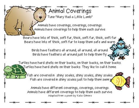 Song, "Animal Coverings" from Cross Curricular Unit on What & How Animals Eat, Animal Coverings & How Animals Move (free; from First Grade Wow): Kindergarten Science Lessons, Animal Coverings, Grade 2 Science, Animal Poems, Kindergarten Songs, Classroom Songs, Animal Classification, 1st Grade Science, Animal Adaptations