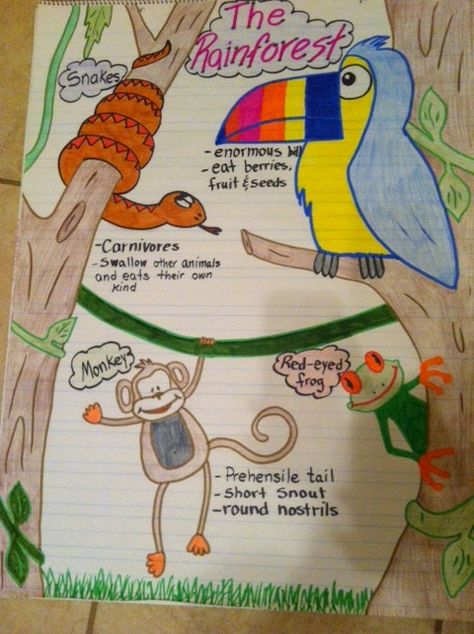 Rainforest Anchor Chart Biome Project, Rainforest Facts, Glad Strategies, Rainforest Crafts, Habitat Project, Monkey Craft, Rainforest Project, Rainforest Activities, Science Display