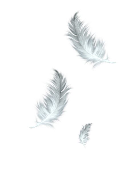 #feather #feathers #angel #aesthetic #freetoedit Falling Feather Tattoo, White Feather Tattoos, Feather Tattoo Wrist, Small Feather Tattoo, Feather Tattoo Meaning, Feather Stickers, Feather Drawing, Blue Rose Tattoos, Feather Tattoo Design