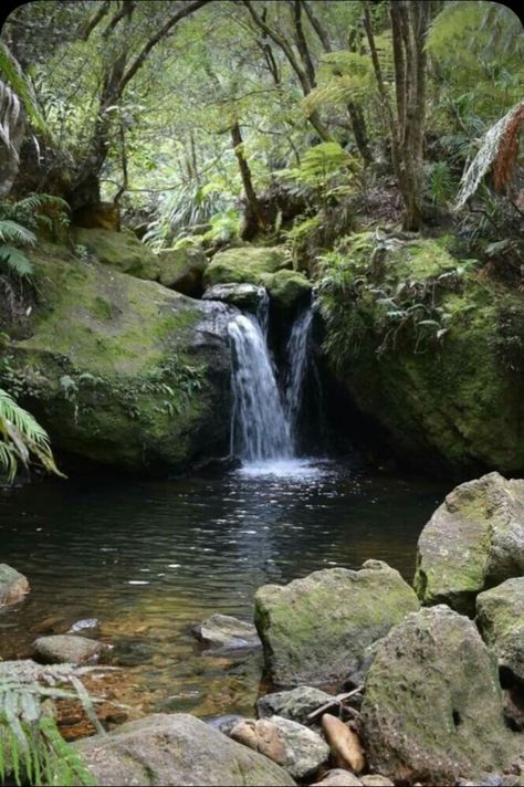 Environment Collage, Aquascape Design, Garden Pond Design, Natural Waterfalls, Waterfall Pictures, Tropical Painting, Bg Design, Backyard Water Feature, Pond Design