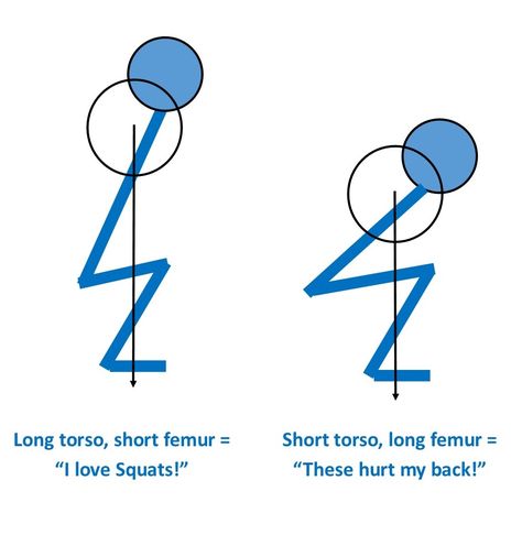 Squats are the king of all exercises! Right? Well, it depends. For some people squats are almost miracle-like in their ability to build ins... Short Torso Long Legs Outfits, Torso Workout, Long Torso Short Legs Outfits, Short Legs Long Torso, Build Ins, Swimming Outfits, Leg Workout At Home, Legs Outfit, Short Torso