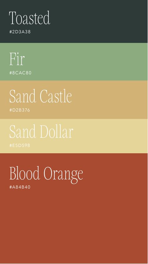 Red Head Color Palette, Color Pallets With Orange, Google Calendar Color Scheme Fall, Elemental Color Palette, Cozy Color Pallete, Hiking Color Palette, Folk Color Palette, Bright Nature Color Palette, Vintage Colors Palette