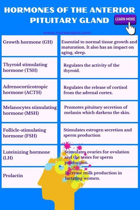 Anterior Pituitary Gland, Endocrine System Anatomy, Endocrine Nursing, Pituitary Gland Disorders, Nursing Infographic, Nursing Notes Examples, Nursing Clinicals, Nervous System Activities, Anterior Pituitary