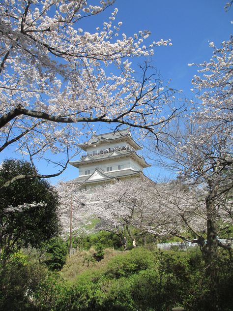 Odawara Castle tower Odawara Castle, Castle Tower, Places Ive Been, Castle, Tower, Japan, House Styles