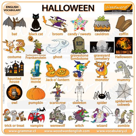 HALLOWEEN Vocabulary in English - Complete English lesson about Halloween (including a video) on our website #Halloween #EnglishVocabulary #LearnEnglish #HalloweenVocabulary #EnglishTeacher #ESOL #ESL Monster House Movie, Halloween Worksheet, Woodward English, Halloween Quiz, Vocabulary Ideas, Fall Vocabulary, Halloween Vocabulary, Vocabulary In English, Owl Pumpkin