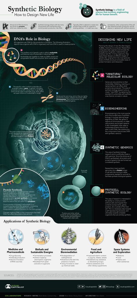 Science Pubmat, Infographic Biology, Cell Infographic, Biochemistry Infographic, Scientific Magazine, Scientific Poster Design, Synthetic Biology, Science Infographics, Biology Poster