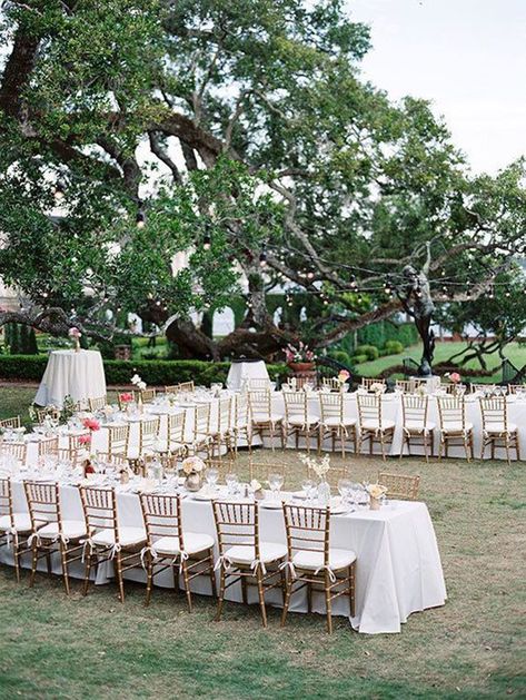 Wedding Table Layouts, Wedding Reception Layout, Reception Layout, Backyard Wedding Ceremony, Wedding Setup, Wedding Backyard Reception, Backyard Reception, Wedding Ceremony Ideas, Easy Wedding