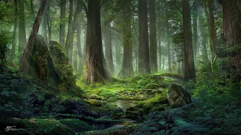 Sociolatte: Light of the Forest by Jeremy Chong Forest Backdrops, Moss Covered, Forest Background, Forest Illustration, Fantasy Forest, Fantasy Places, Tree Wallpaper, Tree Illustration, Forest Art