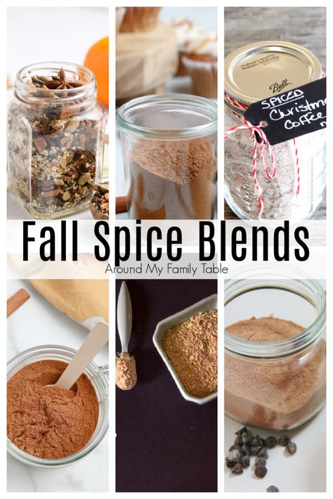 Dessert Spice Blends, Fall Spice Recipes, Fall Spice Blend, Baking Spice Blends, Mulled Spices Recipe, Coffee Spice Blend, Pumpkin Spice Hot Cocoa Mix Recipe, Mulling Spice Recipe, Spiced Cider Mix