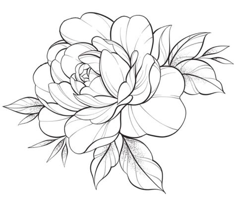 Floral Tattoo Stencil, Flower Tattoo Stencils, Peony Drawing, Japanese Flower Tattoo, Traditional Tattoo Designs, Line Art Flowers, Flower Outline, Folk Art Flowers, Peonies Tattoo